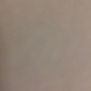 Meet your Posher, Dani